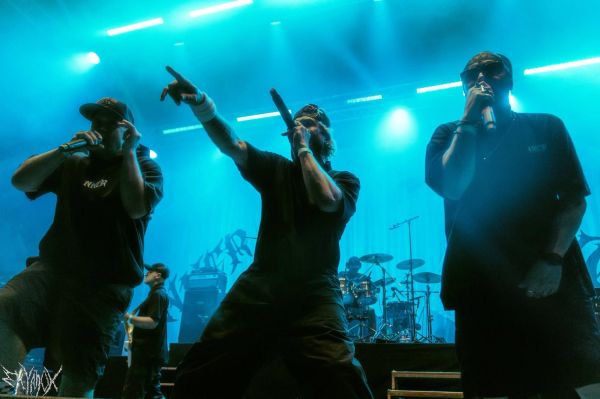 Image de LIVE REPORT d'Alternative News - Vendredi 24 juillet 2026
