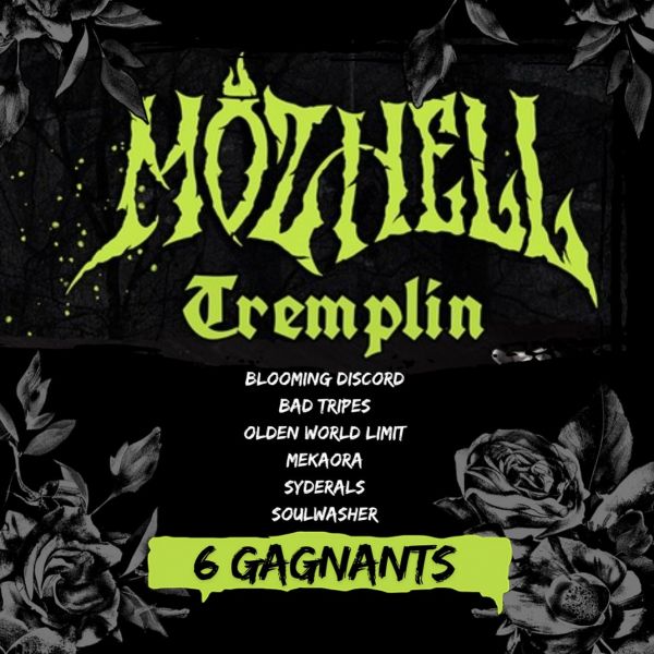 Picture of “Tremplin” Winner