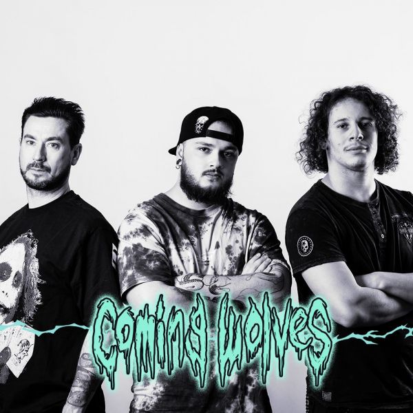 Image de Coming Wolves